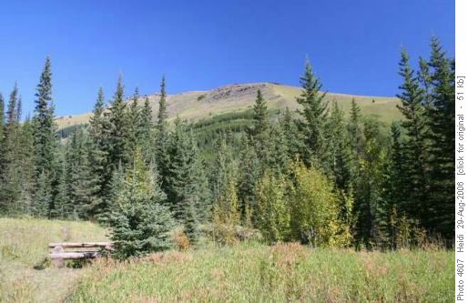 Mt. Allen