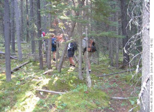 bushwacking up Red Ridge