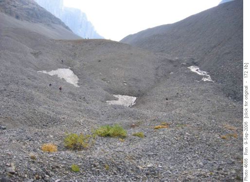 French Glacier moraine