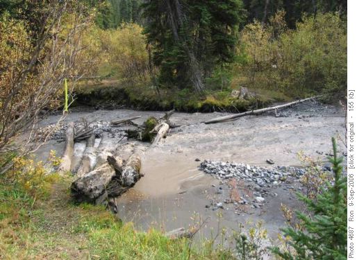 Remains of old bridge, French Creek