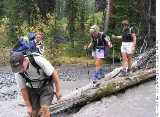 Log crossing, French Creek