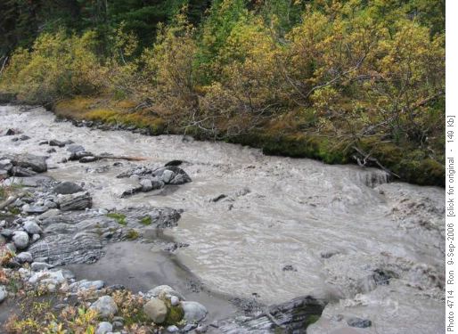 The clear waters of French Creek- NOT!