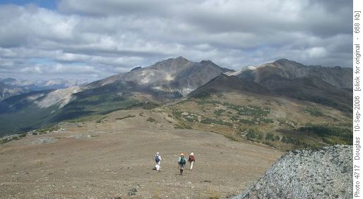 Along the ridge