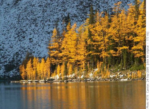 Arnica Lake