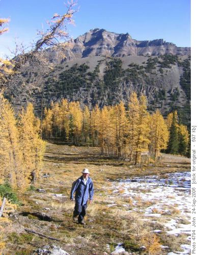 Mount Redoubt and larches