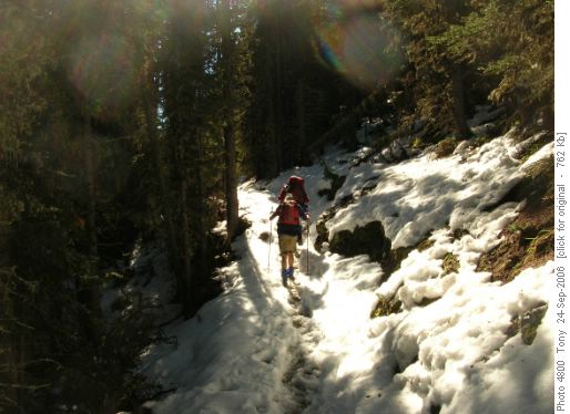Trail up Powderface ridge