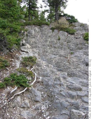 Indefatigable trail OT4 section