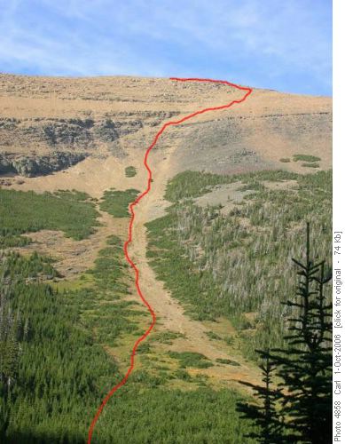 Route up south face of Mt. Lineham