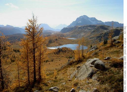 Ramparts and Monarch Mt (2,904m) seen from Healy Pass