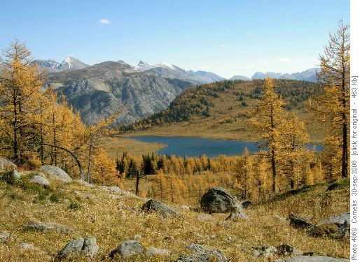 Descent from the Monarch Ramparts to Eohippus Lake (2,127m)