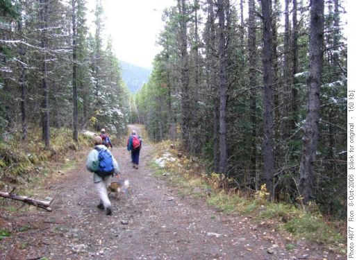 Road to Green Mountain