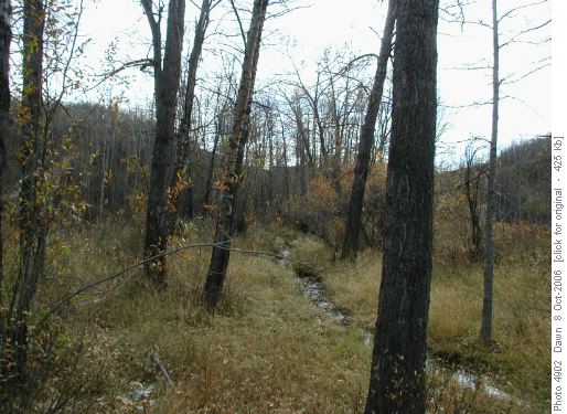 The coulee is ready for winter