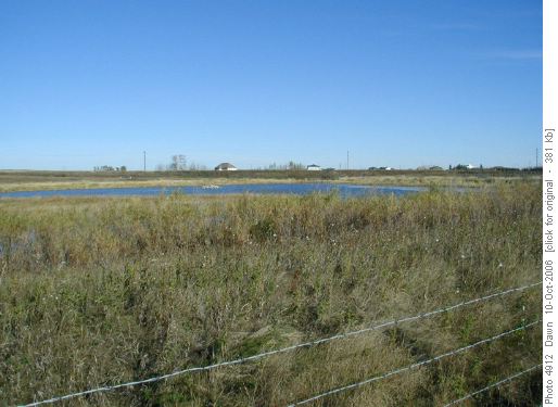 Wetlands along our route