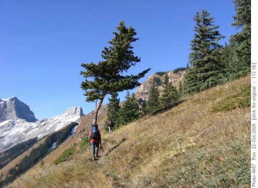 Wind Ridge trail