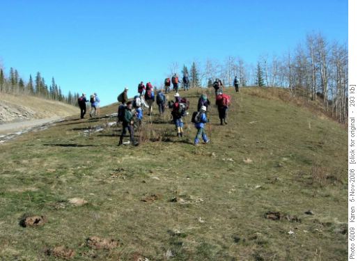 Up Cow Pie Hill