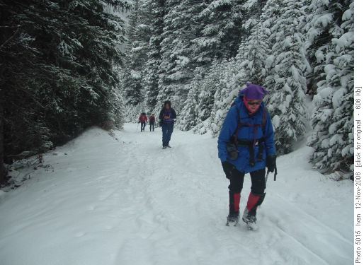 Elbow Lake trail.