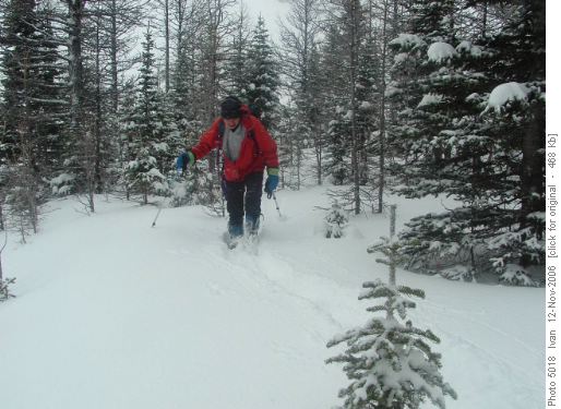 Rae Lake Trail