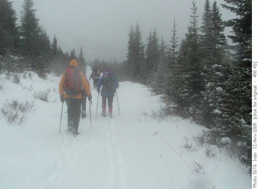 Sheep Trail
