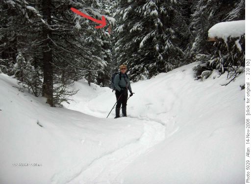 Evelyn on snowshoe trail at Chester Lake