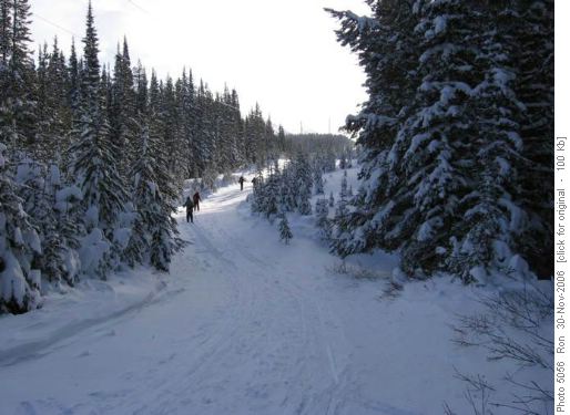 Elk Pass trail, south of first hill