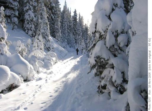 Snowy Elk Pass trail