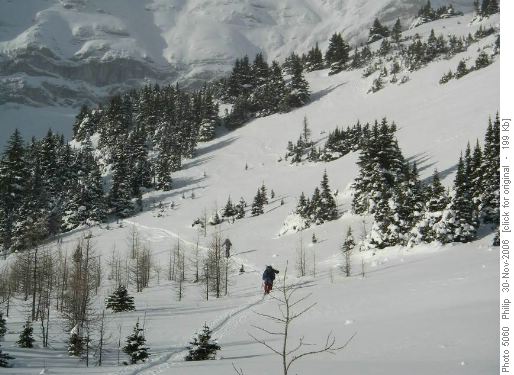 Glades on S. Pocaterra Ridge