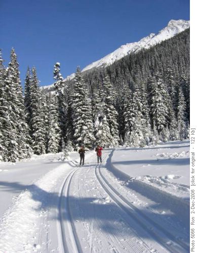 Tyrwhitt trail, TS 1 section