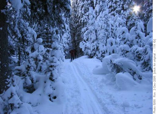 Fox Creek trail