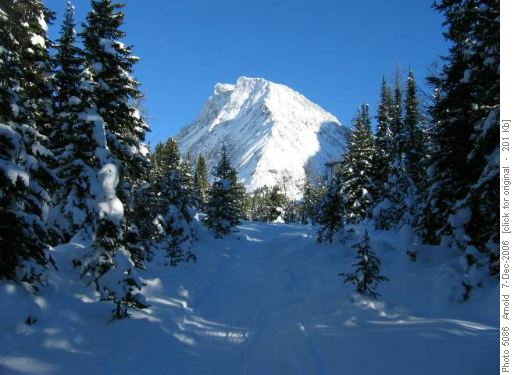 Mt. Gusty