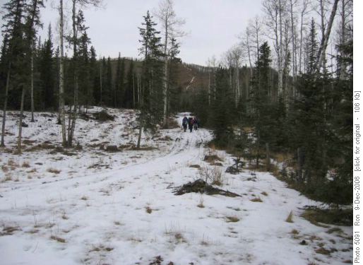 Bar C fence line