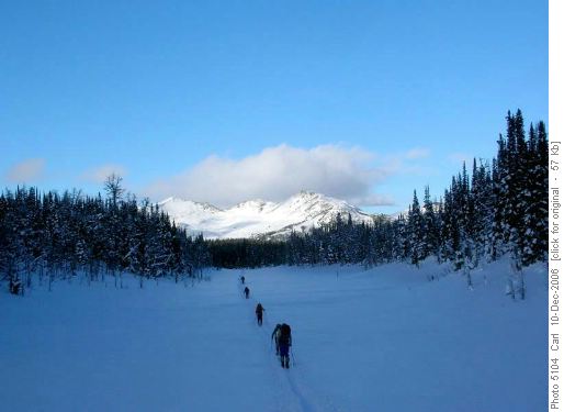 Returning from Eohippus (Bourgeau meadows in sunshine)