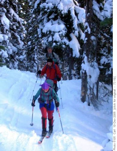 Ascending Healy Creek trail