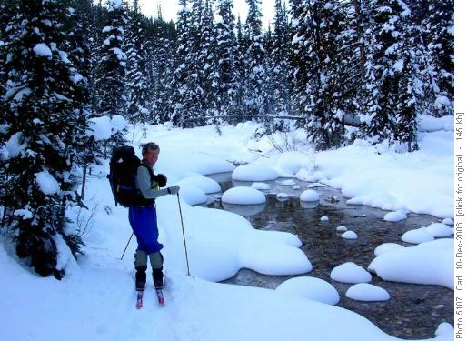 At Healy Creek bridge