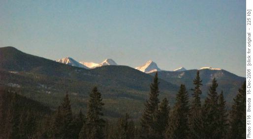 Ears peeking over the foothills