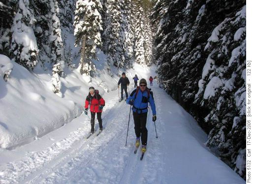 On the Elk Pass trail