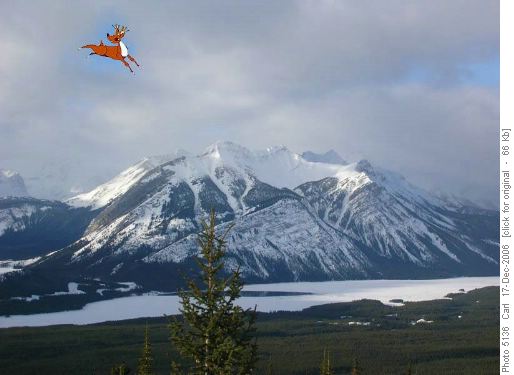 Mt Indefatigable