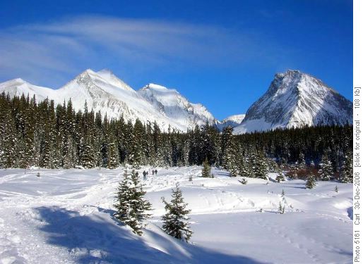 Heading across Chester Meadows (Mt Galatea in centre, Gusty Peak at right)