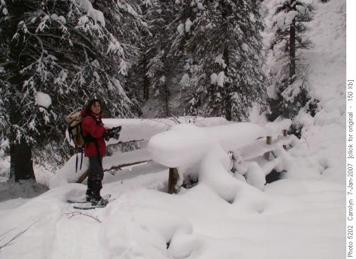 snow, snow, snow