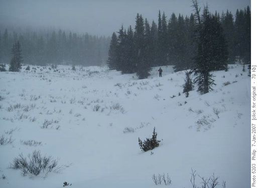 Snowy meadows