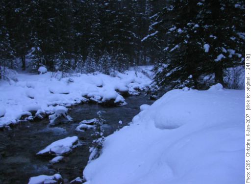Forty Mile Creek