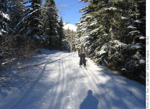 Kovach trail, Ribbon Creek area