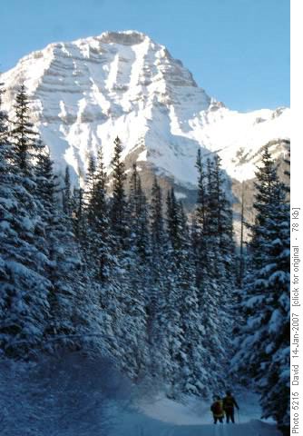 Mt Bogart from Kovach trail