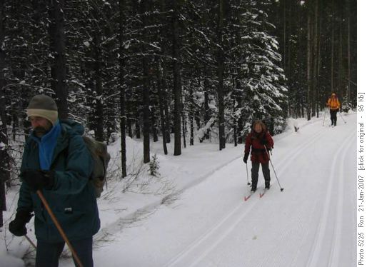 {278 Fran Gali}, {206 Barb Mitchell} & {607 Damian Gannon} on Lynx Trail