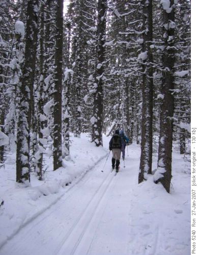 Heading up Fox Creek