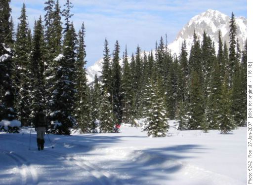 Tyrwhitt trail