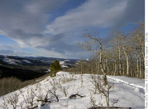 Afternoon light Carey Ridge, looking North