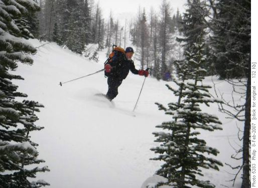 Arnold swooping through glades