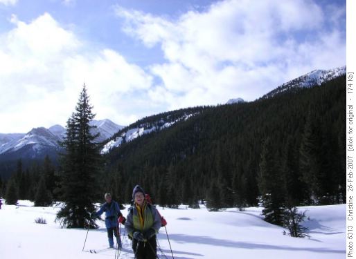 Guess who's behind Rhoda