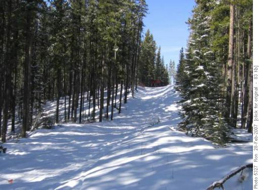 Moose connector, West Bragg