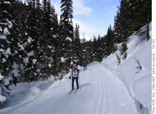 {1017 Mar Lal} & {1054 Kat Bri} heading up Elk Pass trail